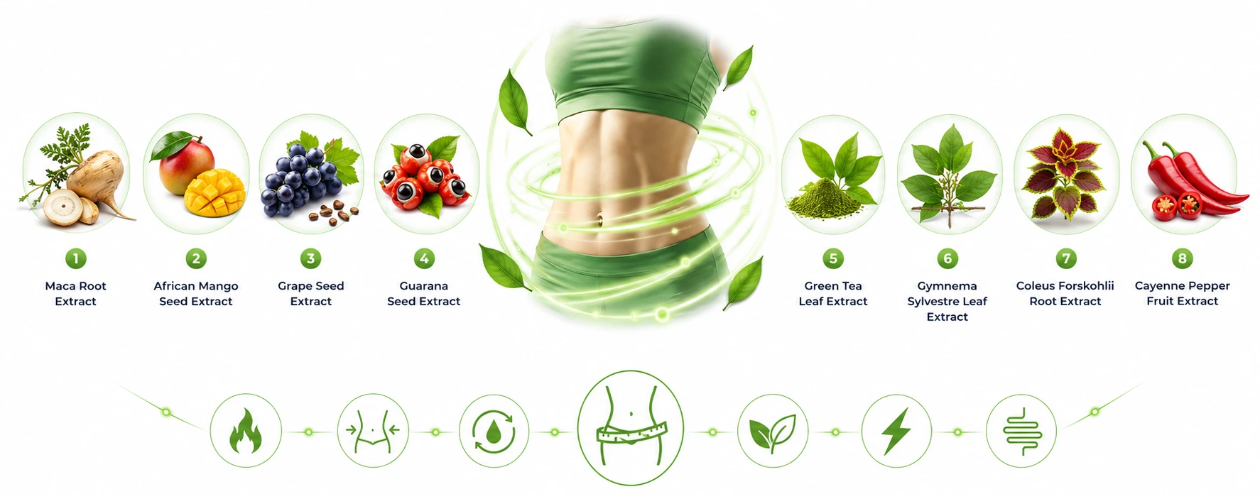 LipoBliss natural weight loss ingredients overview